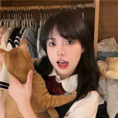 多芬丢失的项链