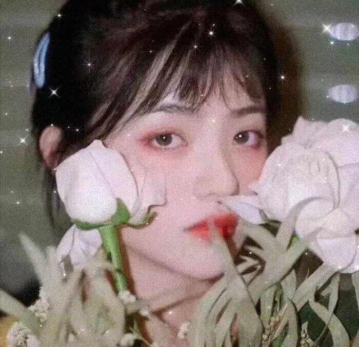 远离尘嚣：珍爱相随